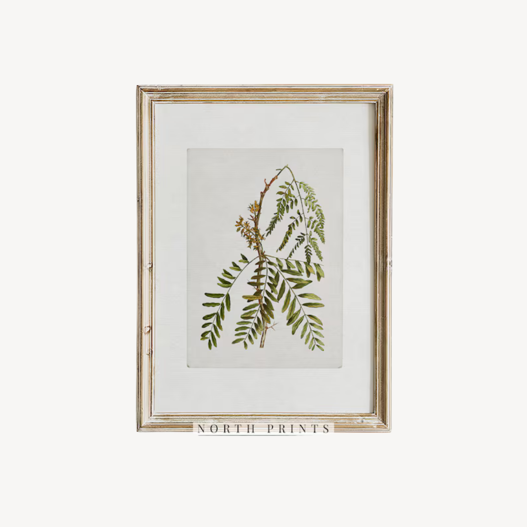 Wall Art Botanical Set 60x90