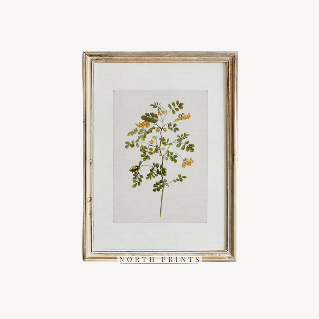Wall Art Botanical Set 60x90