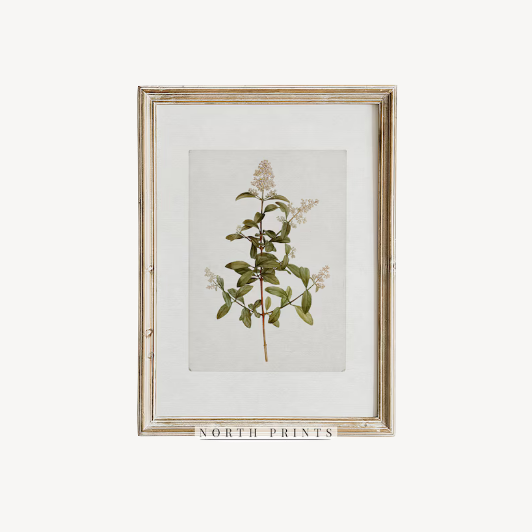 Wall Art Botanical Set 60x90