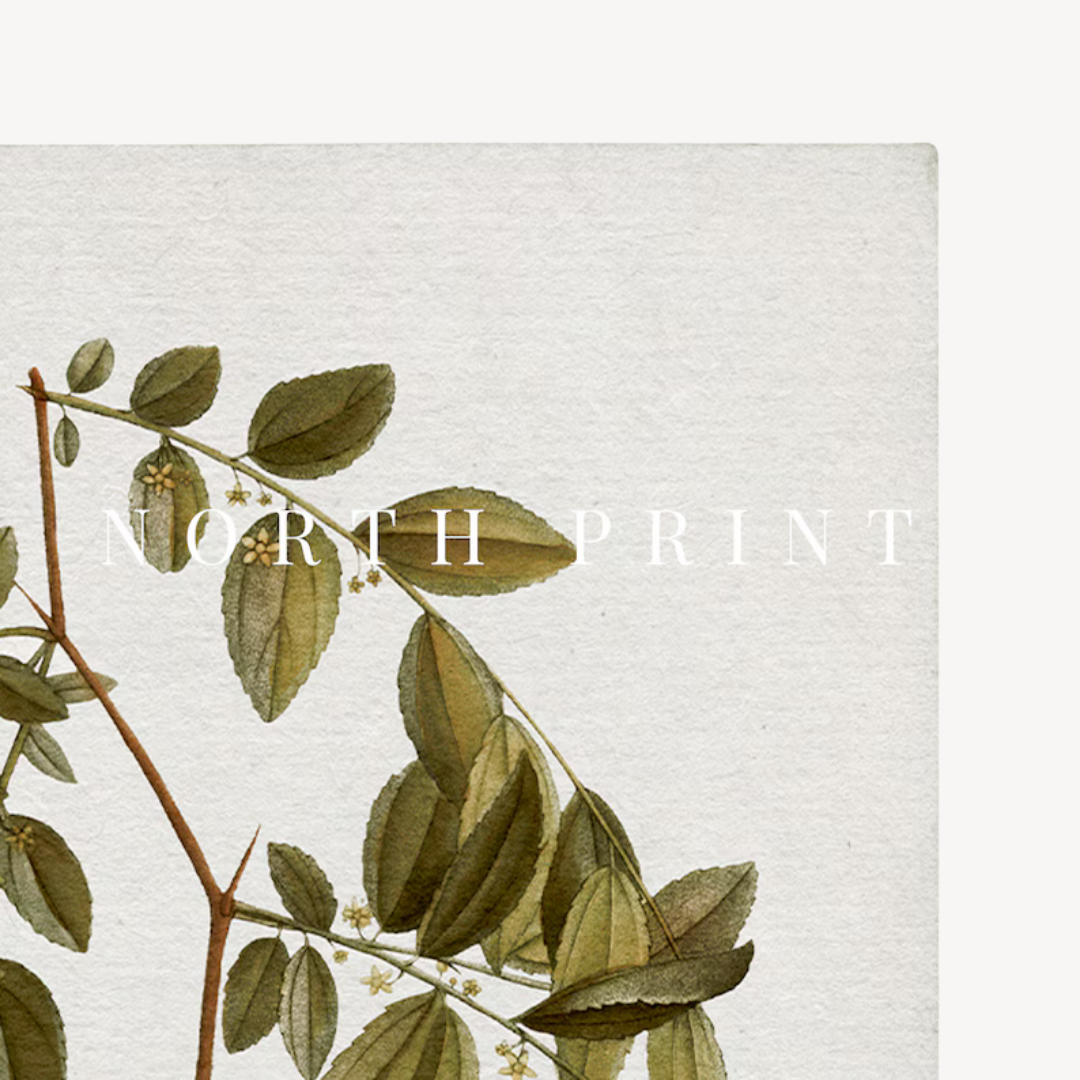 Wall Art Botanical Set 60x90