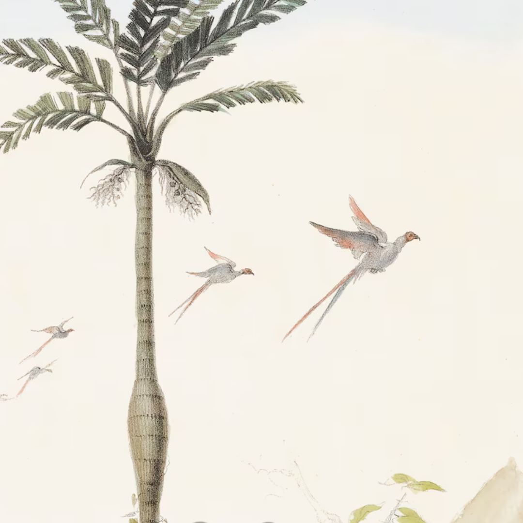 Wall Art Tropical Jungle set of 3, 60x90