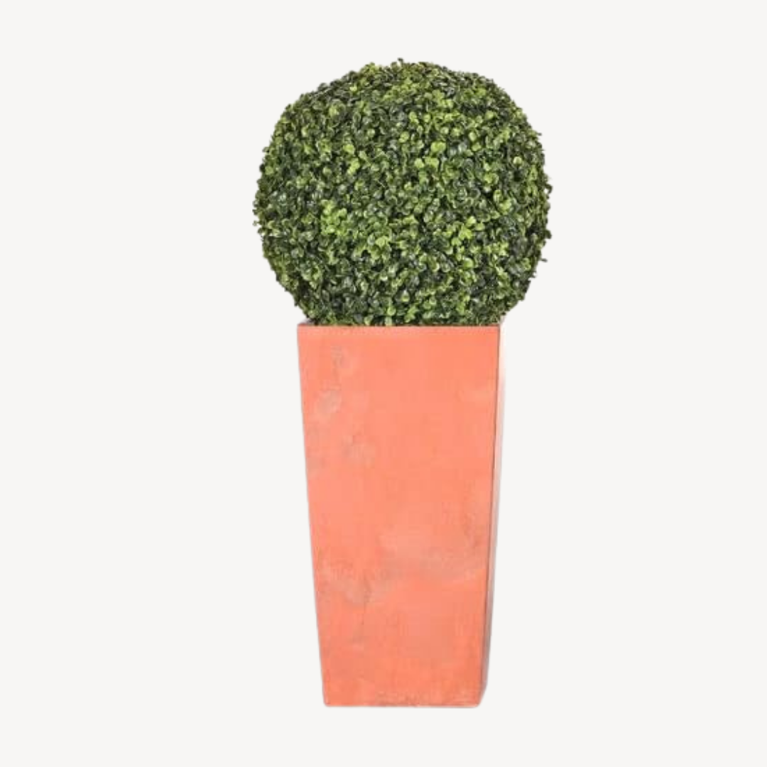 Trébol hongo, 35 cm 
