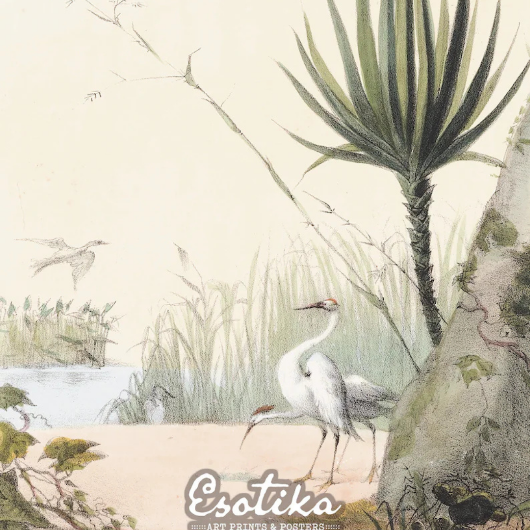 Arte de pared Selva tropical, juego de 3, 60 x 90