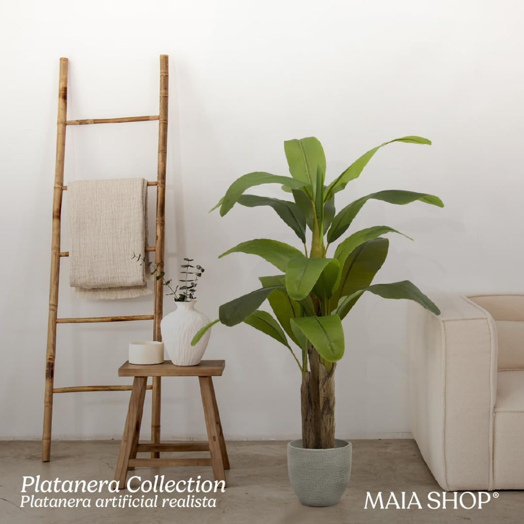 Banana Tree, H150