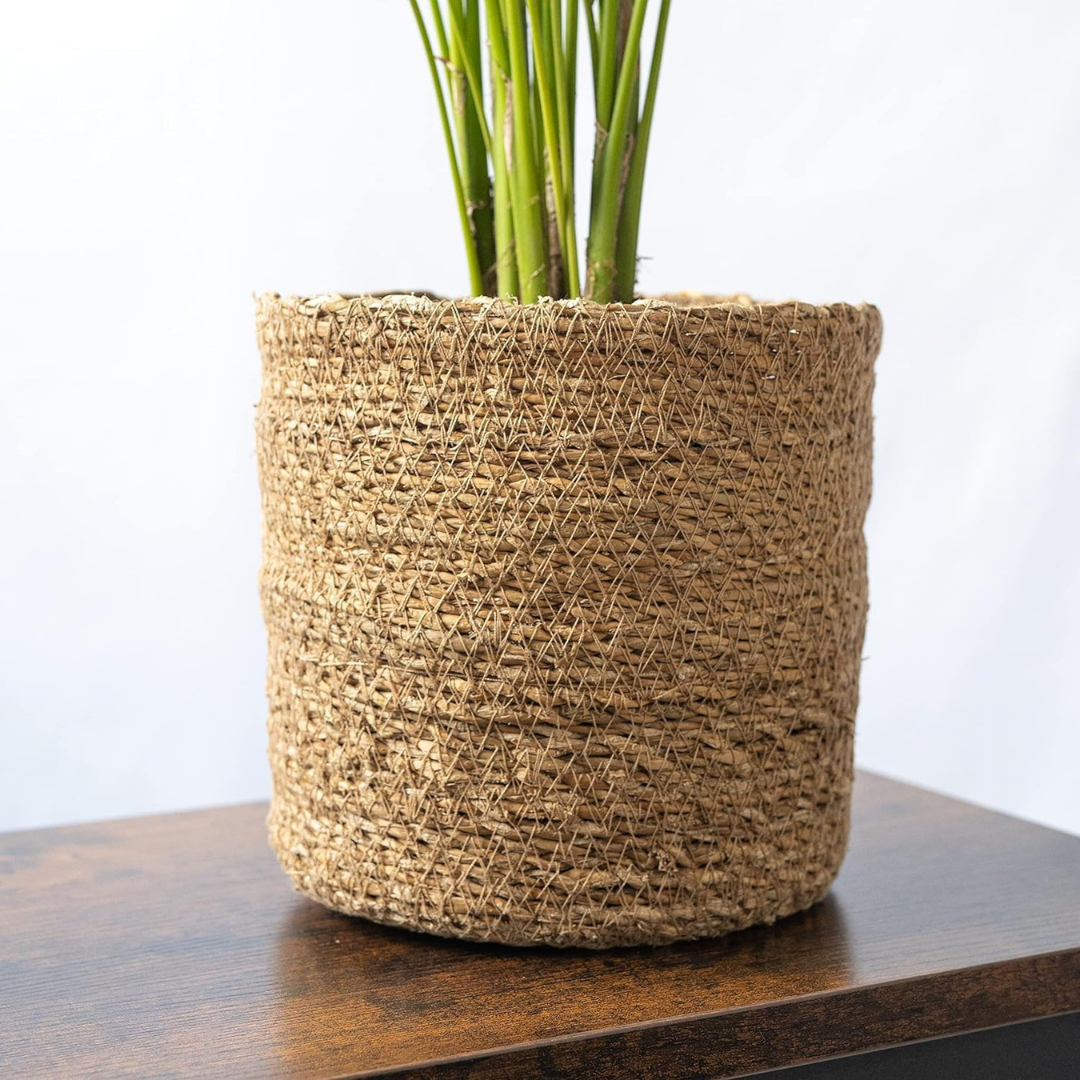 Plant Basket Wicker 34x34