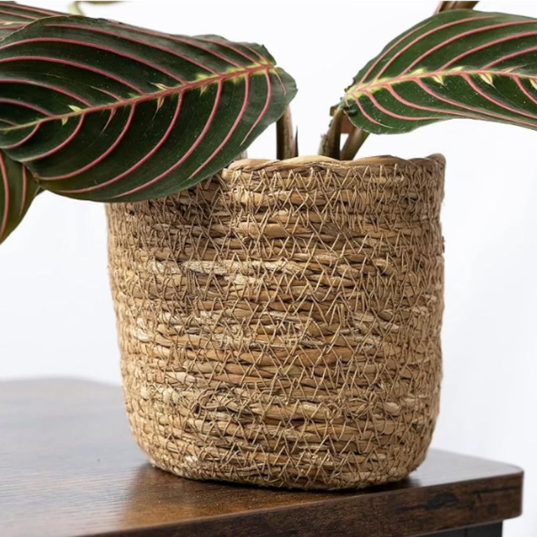 Plant Basket Wicker 34x34
