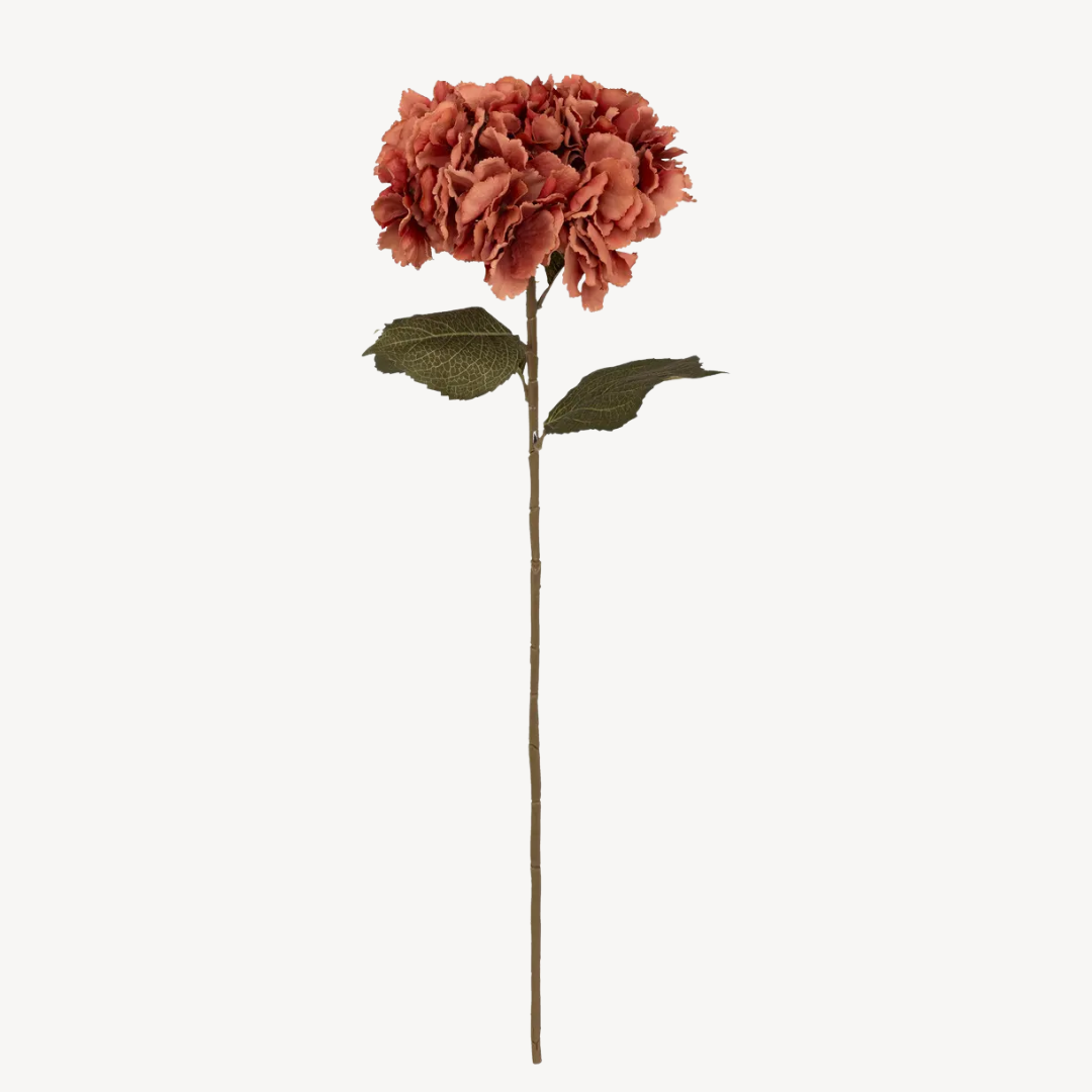 Caule de Hortênsia, H83 