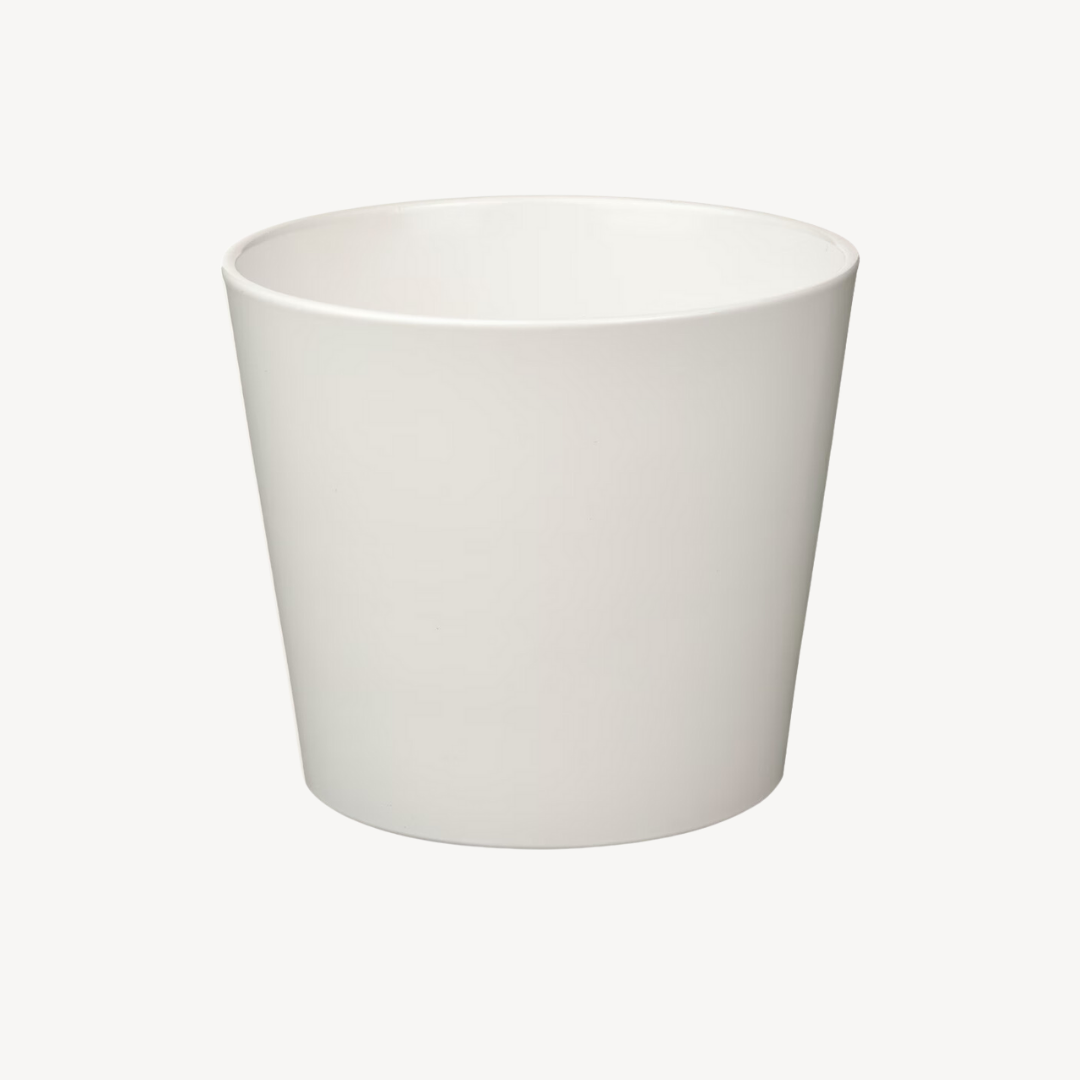 Plant Pot Sojabona