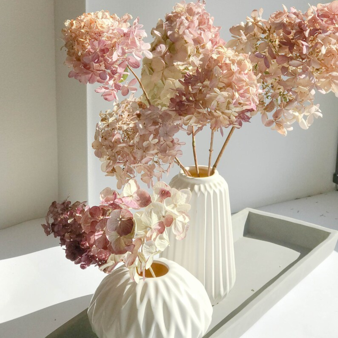Hydrangea flower
