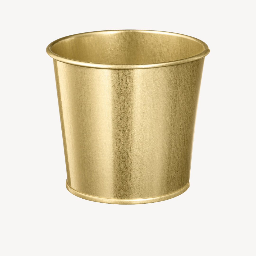 Plant Pot Daidai