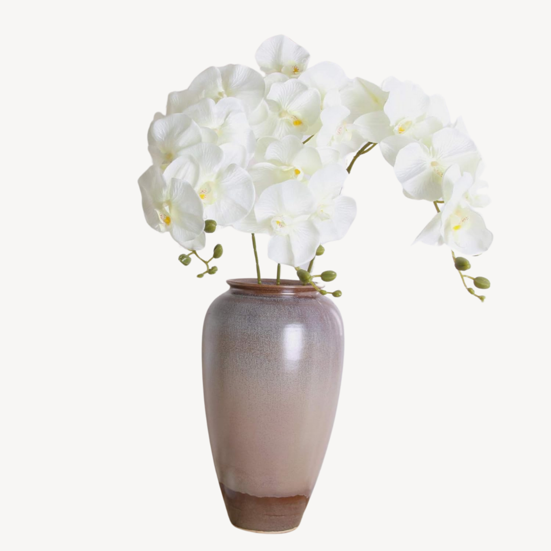 Orchid Flowers Set of 6