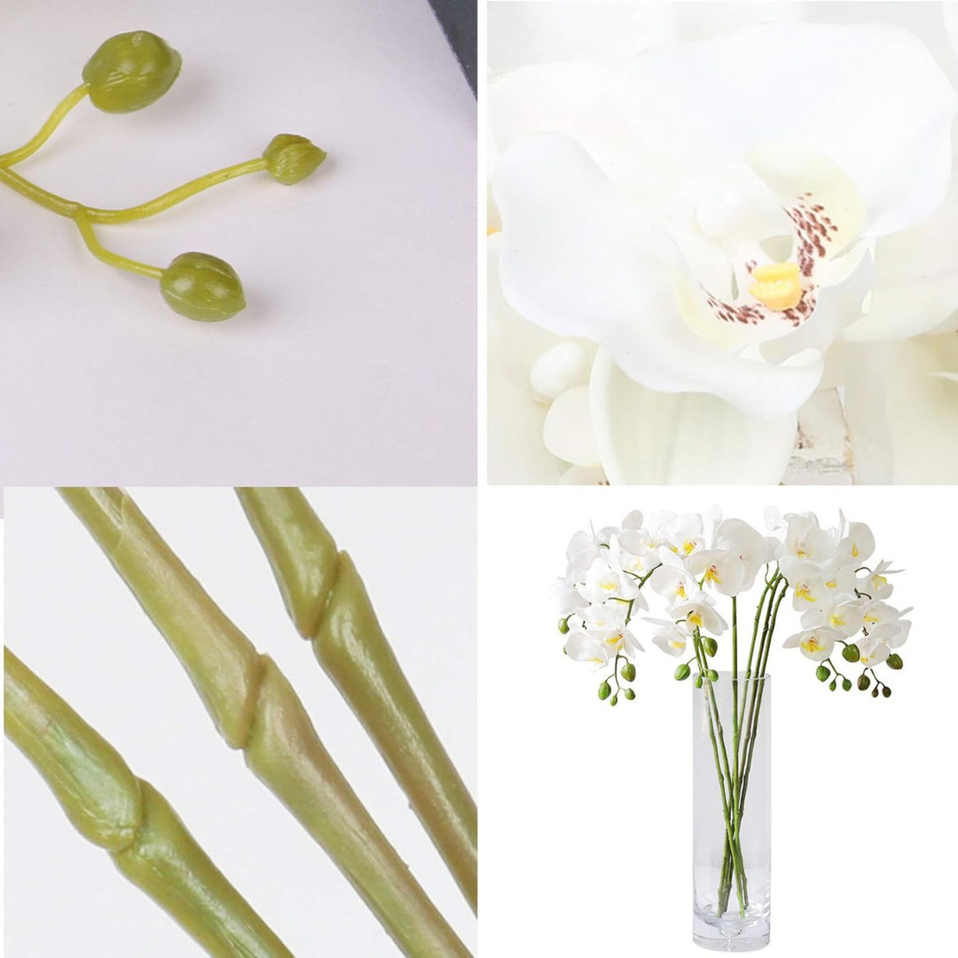 Orchid Flowers Set of 6