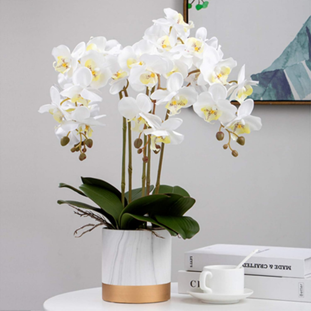 Orchid Flowers Set of 6