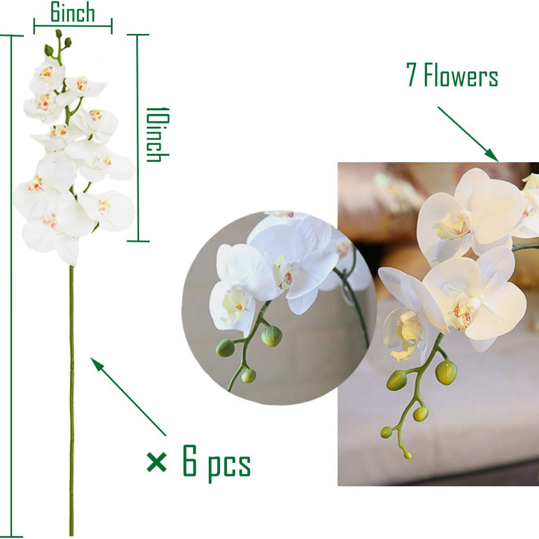 Orchid Flowers Set of 6