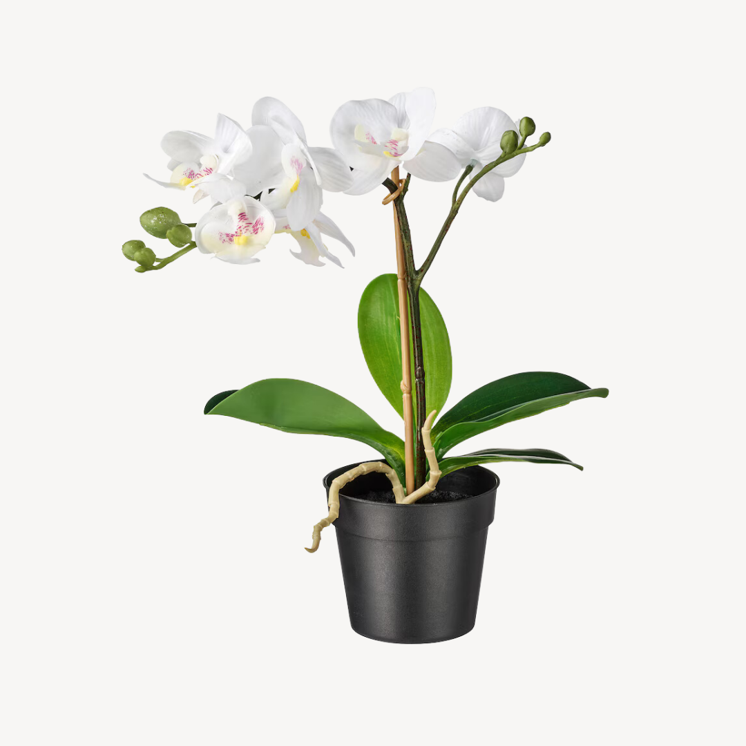 Potted Plant Fejka