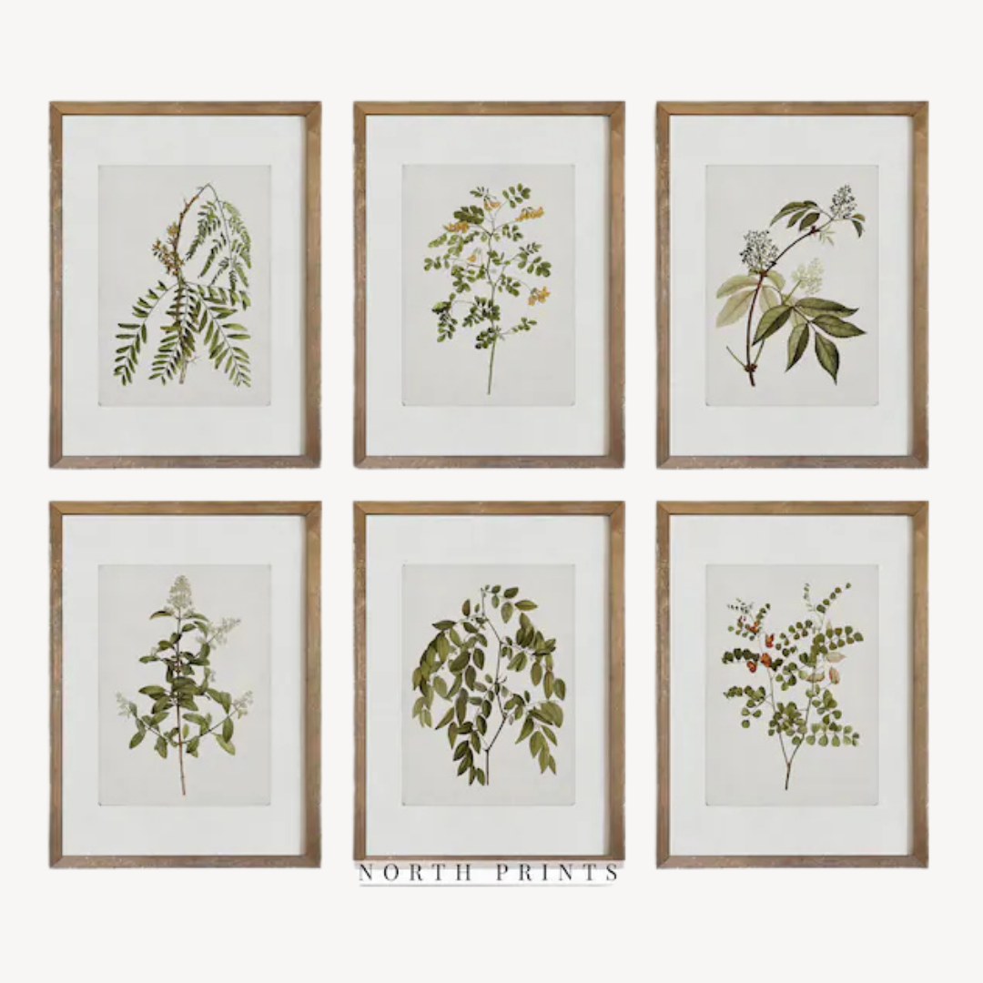 Wall Art Botanical Set 60x90