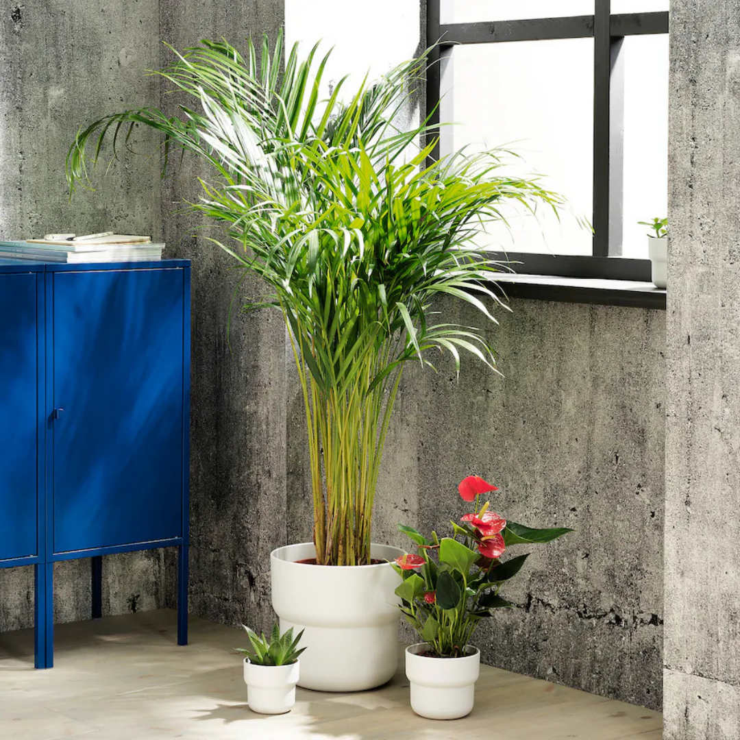 Plant Pot Forenlig, H10