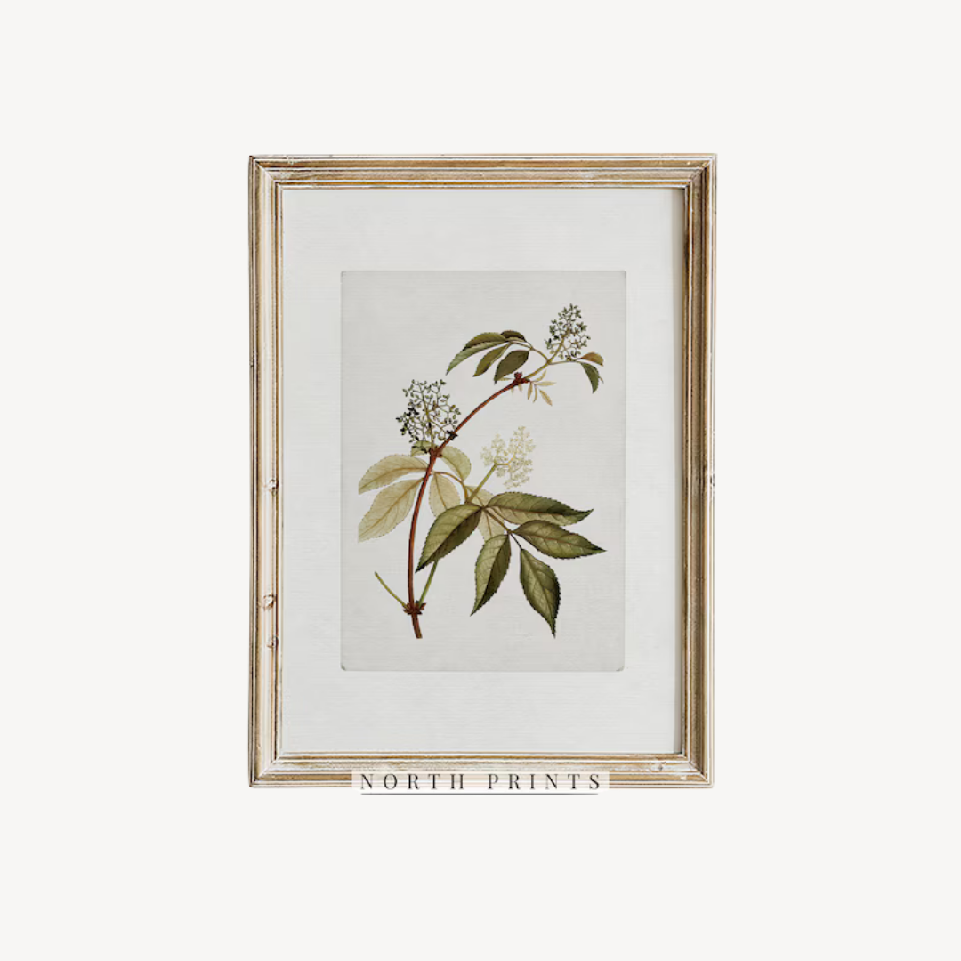Wall Art Botanical Set 60x90