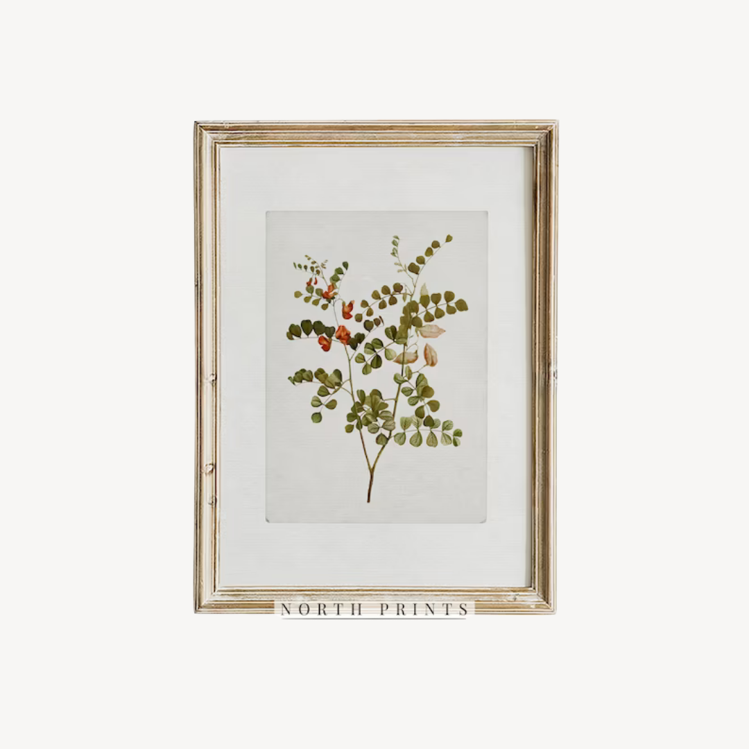 Wall Art Botanical Set 60x90
